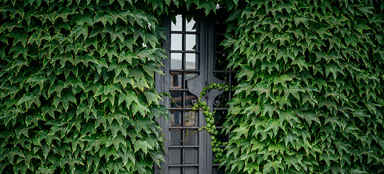 Garden Gate Repair in Citrus Park, FL