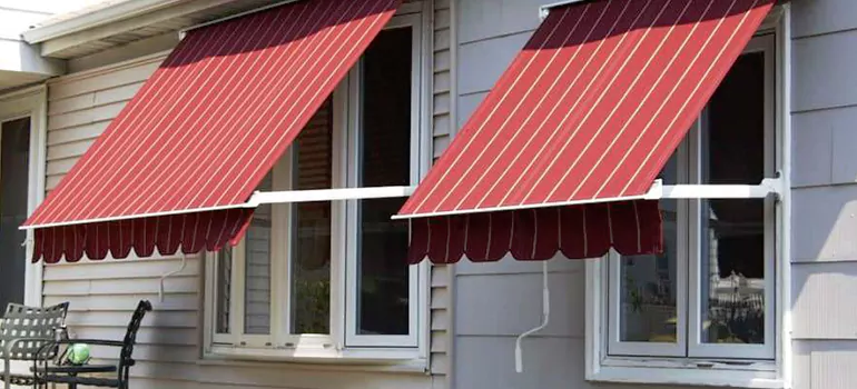 Government Rebate Window Replacement in Citrus Park, FL