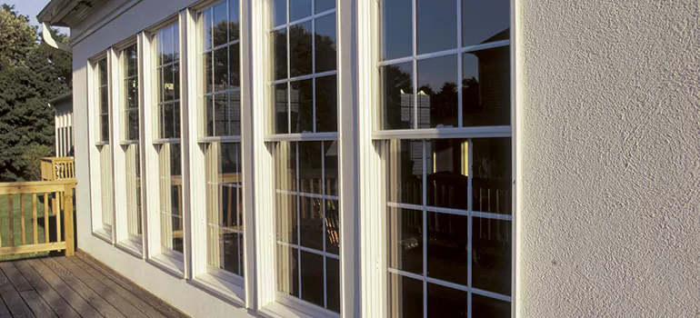 Home Window Glass Repair in Citrus Park, FL