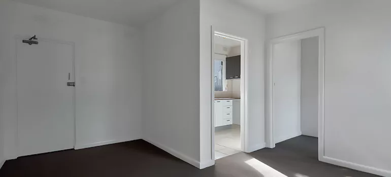 Dark Interior Doors in Citrus Park, FL