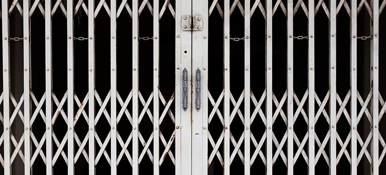Steel Line Garage Door Repairs in Citrus Park, FL