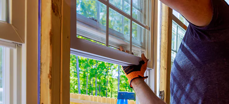 Decorative Window Film Services in Citrus Park, FL
