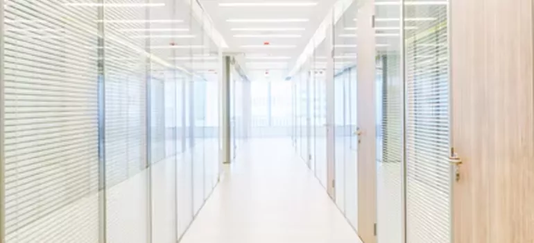 Frosted Glass Windows Replacement in Citrus Park, FL