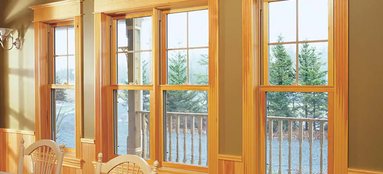 Government Incentives For Replacement Windows in Citrus Park, FL