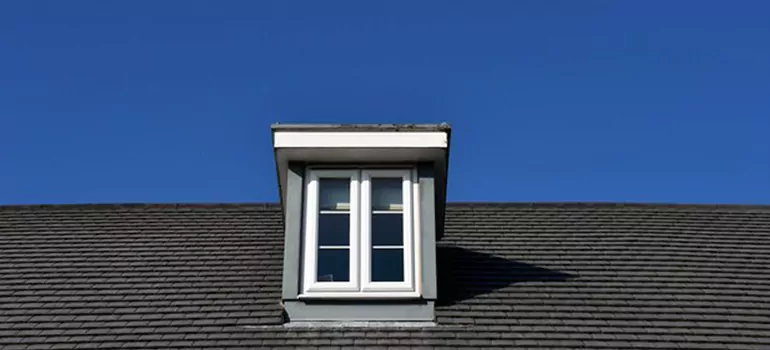 Roof Window Installation in Citrus Park, FL