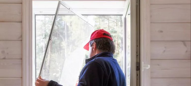 Expandable Window Screen Installation in Citrus Park, FL