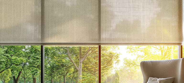 Custom Window Shades in Citrus Park, FL
