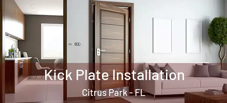  Kick Plate Installation Citrus Park - FL