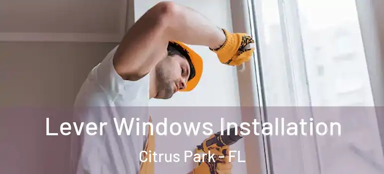  Lever Windows Installation Citrus Park - FL