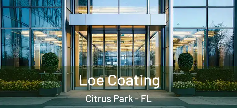  Loe Coating Citrus Park - FL