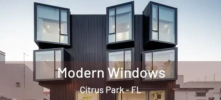  Modern Windows Citrus Park - FL
