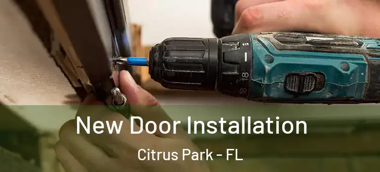  New Door Installation Citrus Park - FL