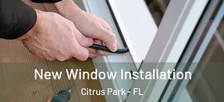  New Window Installation Citrus Park - FL