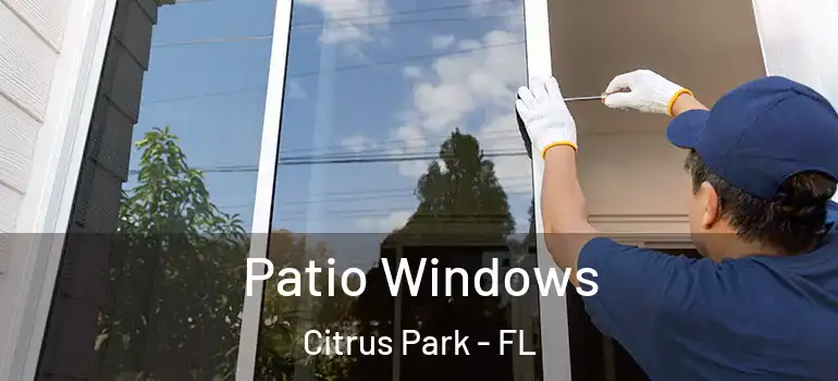  Patio Windows Citrus Park - FL
