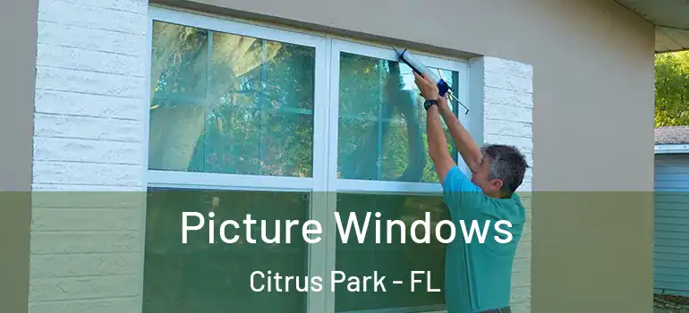  Picture Windows Citrus Park - FL