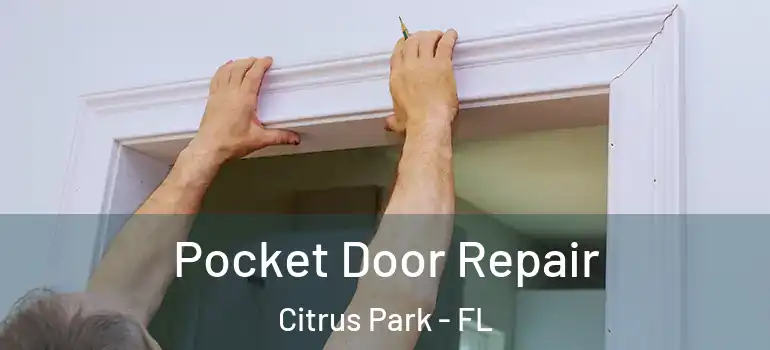  Pocket Door Repair Citrus Park - FL