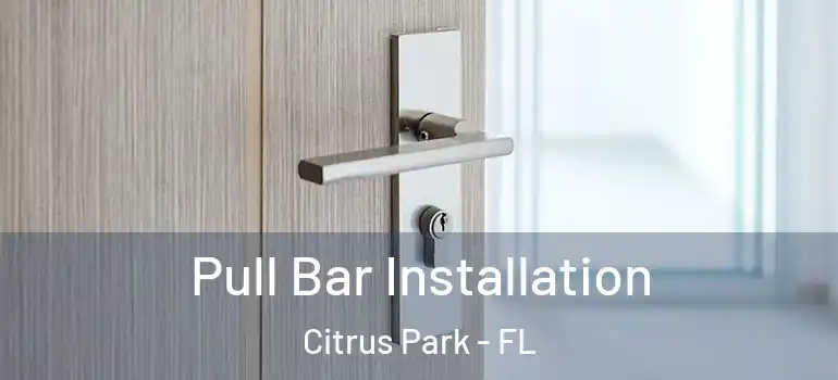  Pull Bar Installation Citrus Park - FL