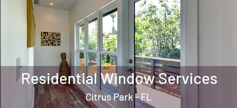  Residential Window Services Citrus Park - FL