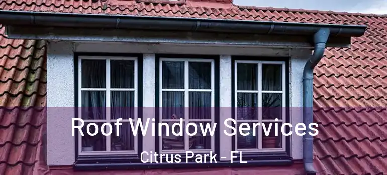  Roof Window Services Citrus Park - FL