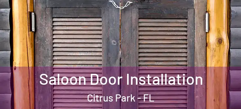  Saloon Door Installation Citrus Park - FL
