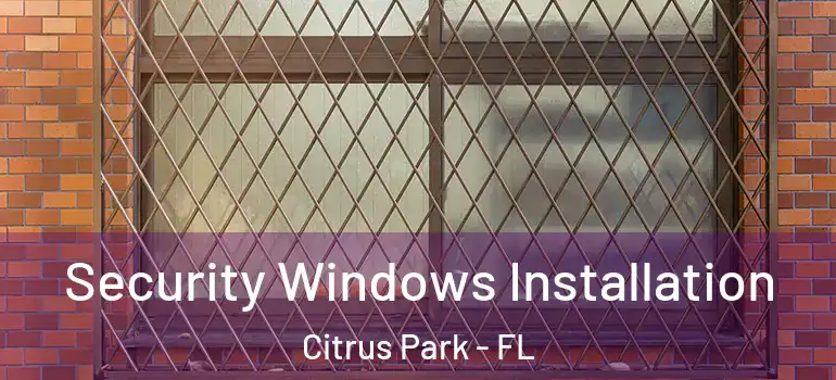  Security Windows Installation Citrus Park - FL