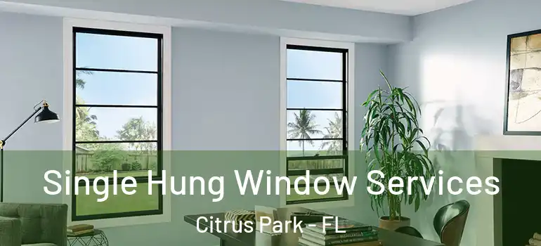  Single Hung Window Services Citrus Park - FL