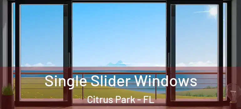  Single Slider Windows Citrus Park - FL