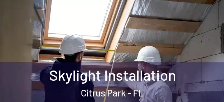  Skylight Installation Citrus Park - FL