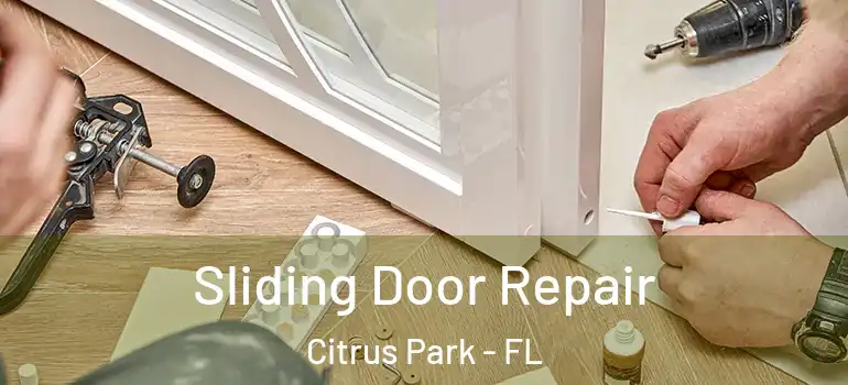  Sliding Door Repair Citrus Park - FL