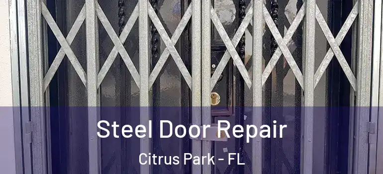 Steel Door Repair Citrus Park - FL