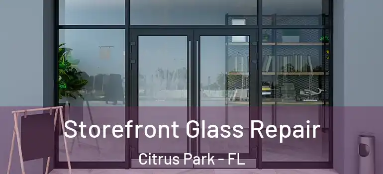  Storefront Glass Repair Citrus Park - FL