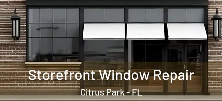  Storefront Window Repair Citrus Park - FL