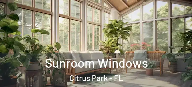  Sunroom Windows Citrus Park - FL