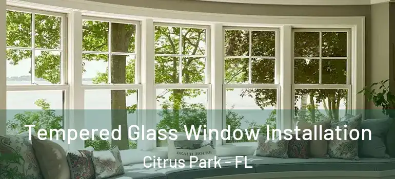  Tempered Glass Window Installation Citrus Park - FL