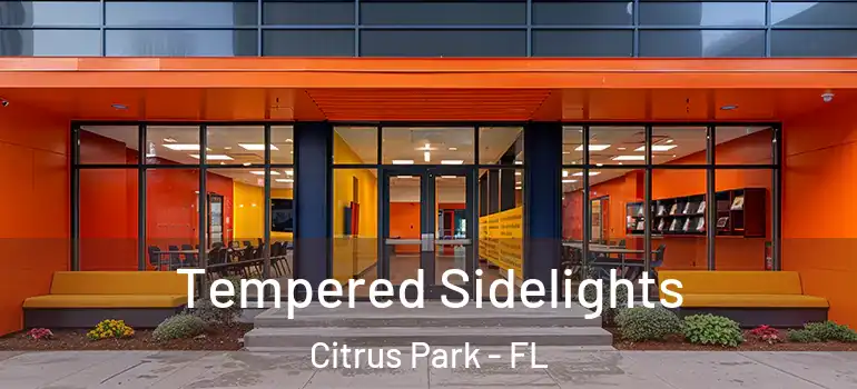  Tempered Sidelights Citrus Park - FL