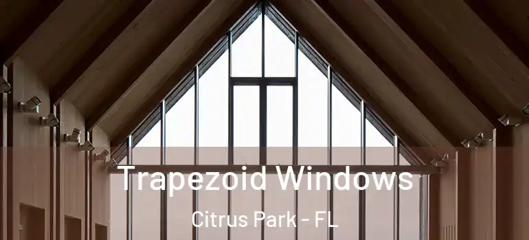  Trapezoid Windows Citrus Park - FL