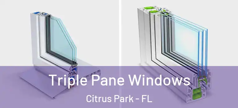  Triple Pane Windows Citrus Park - FL