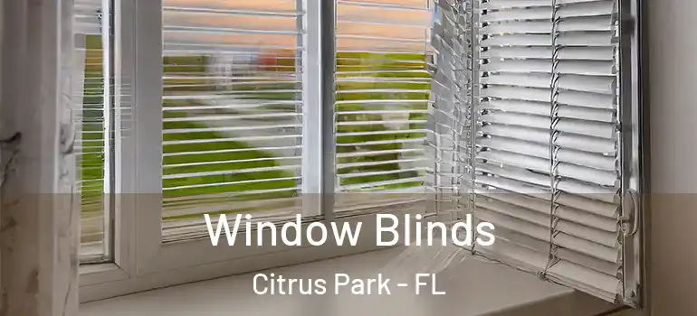  Window Blinds Citrus Park - FL