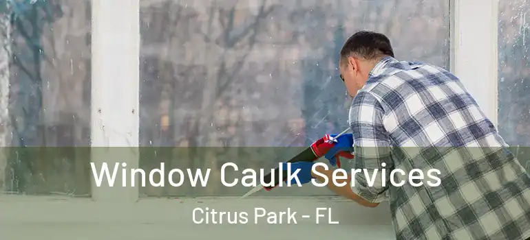  Window Caulk Services Citrus Park - FL