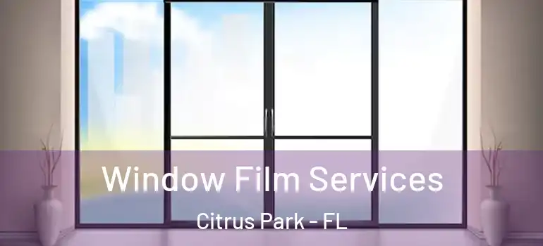  Window Film Services Citrus Park - FL