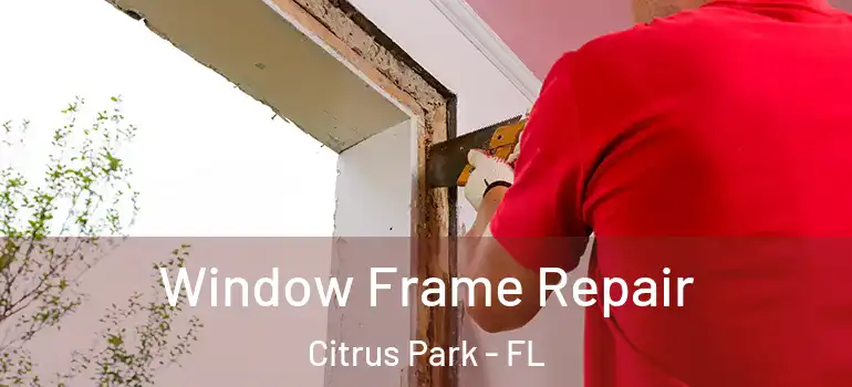  Window Frame Repair Citrus Park - FL