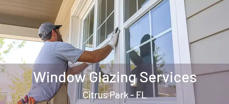  Window Glazing Services Citrus Park - FL