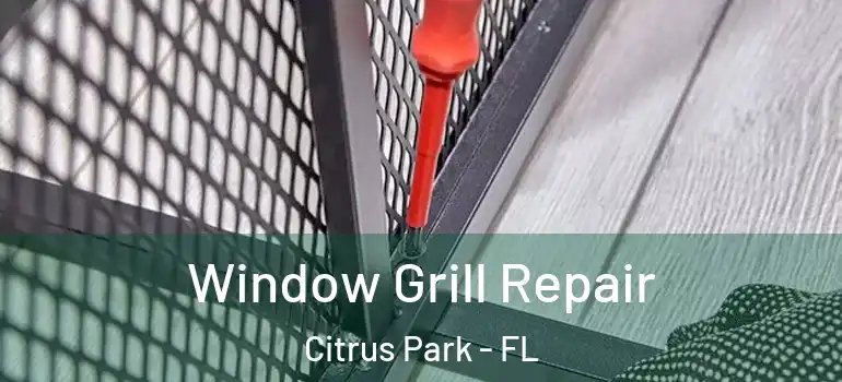  Window Grill Repair Citrus Park - FL