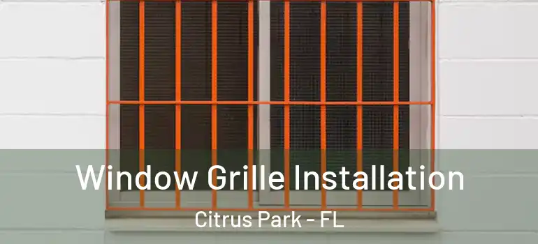  Window Grille Installation Citrus Park - FL