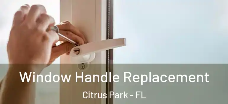  Window Handle Replacement Citrus Park - FL