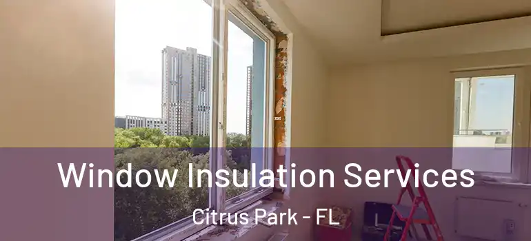  Window Insulation Services Citrus Park - FL