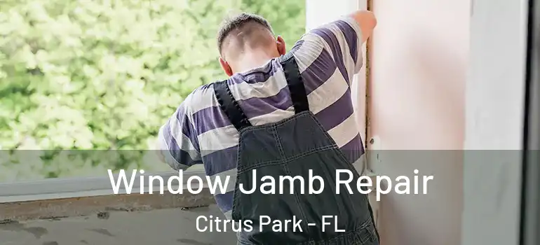  Window Jamb Repair Citrus Park - FL