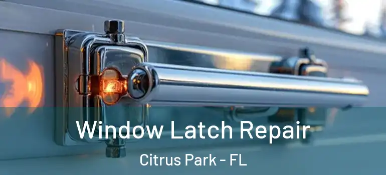  Window Latch Repair Citrus Park - FL