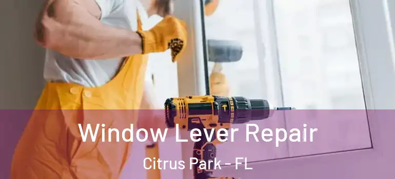  Window Lever Repair Citrus Park - FL