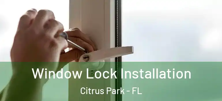  Window Lock Installation Citrus Park - FL